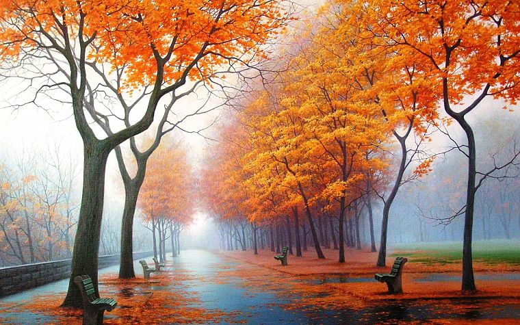 water, landscapes, trees, autumn, rain, orange, leaves, fog, bench, parks - desktop wallpaper