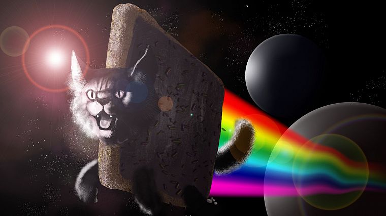 outer space, Nyan Cat, Kingaby - desktop wallpaper