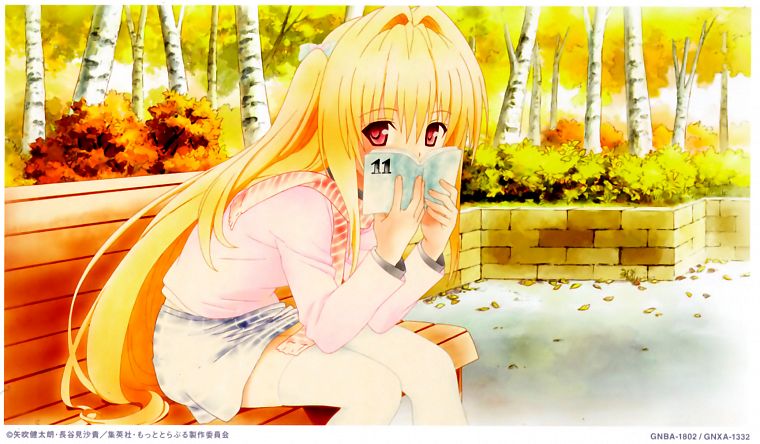 To Love Ru, Golden Darkness, anime girls - desktop wallpaper