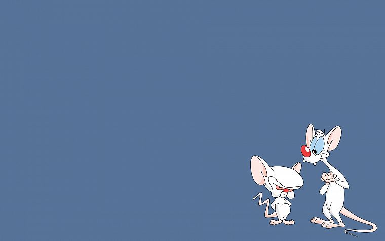 Pinky and the Brain, simple background - desktop wallpaper