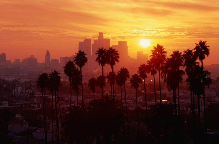 Los Angeles, palm trees - desktop wallpaper