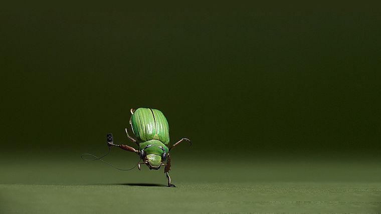 animals, insects, iPod, funny - desktop wallpaper