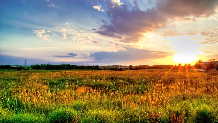 sunset, meadows - desktop wallpaper