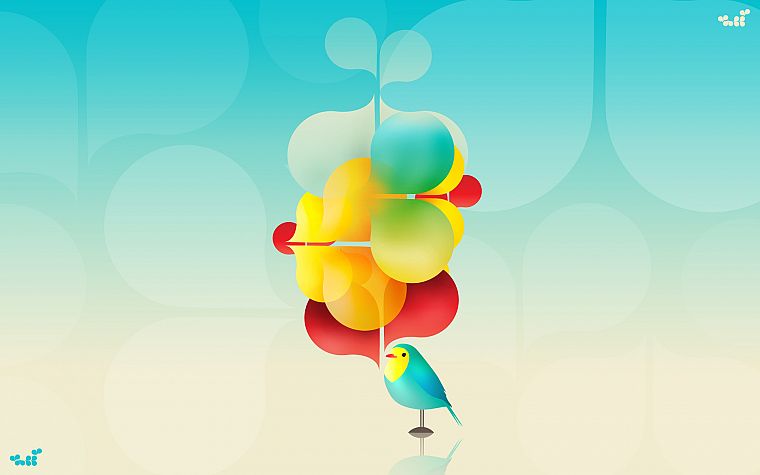birds, skyscapes - desktop wallpaper
