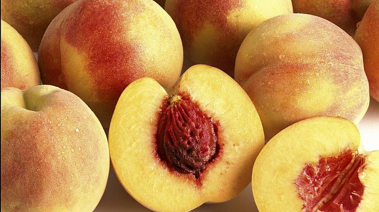 fruits, peaches, nectarines - desktop wallpaper