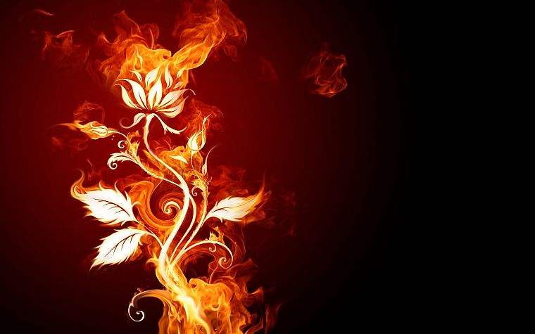 flames, flowers, fire, smoke, black background - desktop wallpaper
