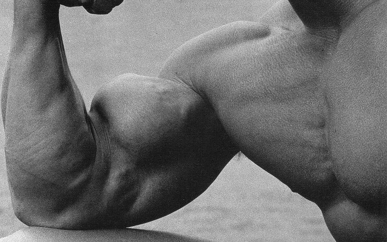 Arnold Schwarzenegger, muscles, muscular - desktop wallpaper