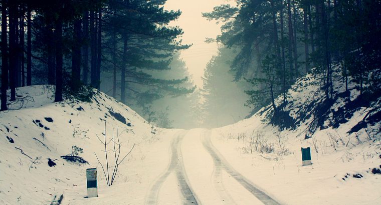 winter, snow, forests - desktop wallpaper