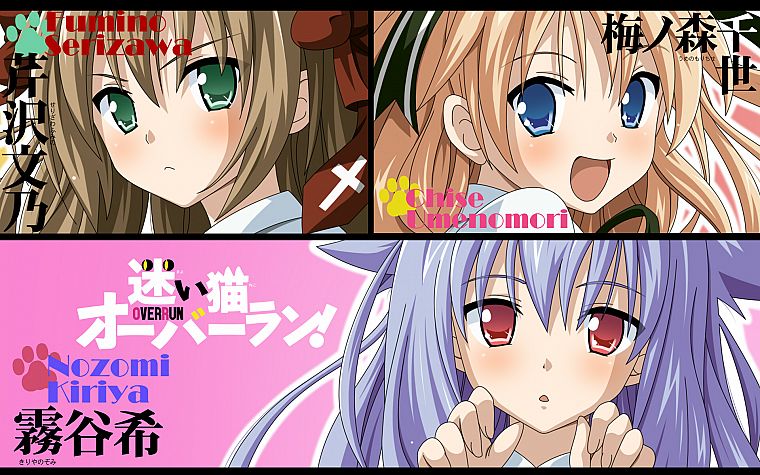 Mayoi Neko Overrun!, Kiriya Nozomi, Serizawa Fumino, Umenomori Chise - desktop wallpaper