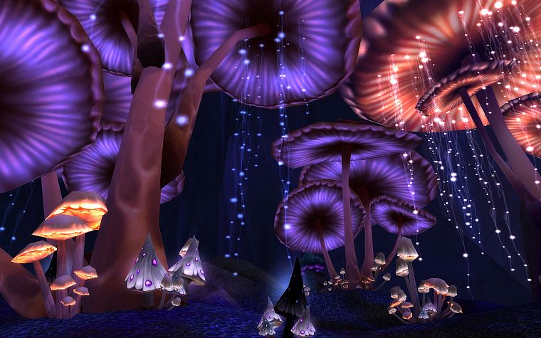 mushrooms, digital art - desktop wallpaper
