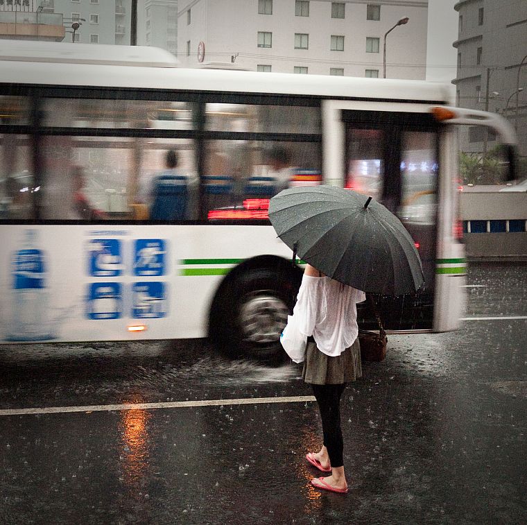 rain, umbrellas - desktop wallpaper