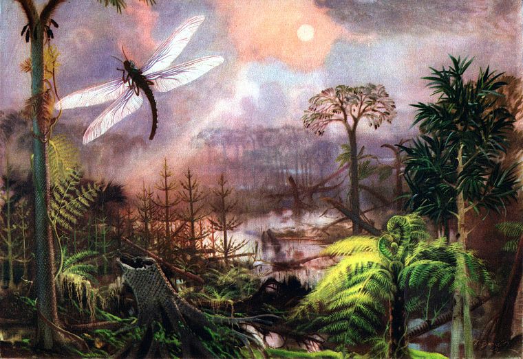 paintings, forests, insects, ferns, prehistoric, Zdenek Burian - desktop wallpaper