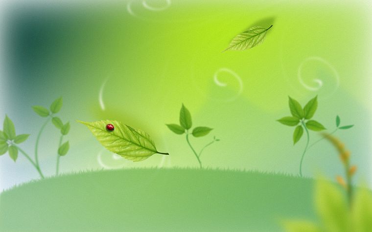 leaves, cartoonish, artwork, ladybirds - desktop wallpaper