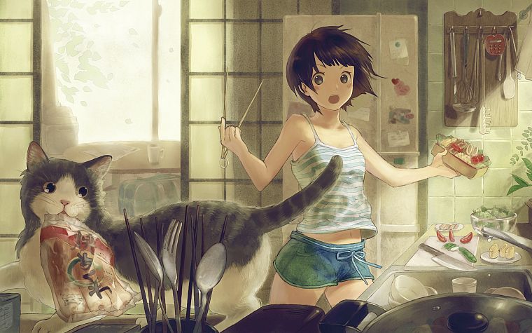 cats, food, spoons, kitchen, cooking, shorts, forks, soft shading, anime girls, original characters - desktop wallpaper
