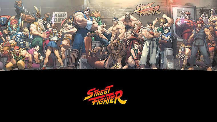 Street Fighter, Sakura, Cammy, Ryu, Akuma, Chun-Li, Ken, Zangief, Blanka, Vega, M. Bison, Dhalsim, E. Honda, T. Hawk, Guile, Ken Masters - desktop wallpaper