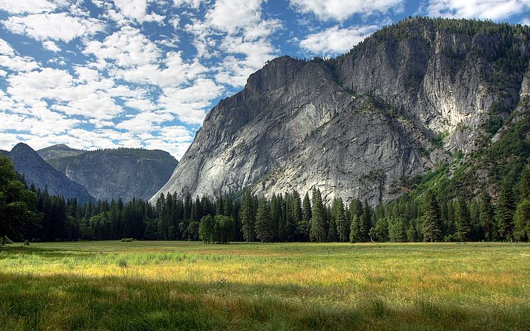 mountains, landscapes, trees, Yosemite National Park - desktop wallpaper