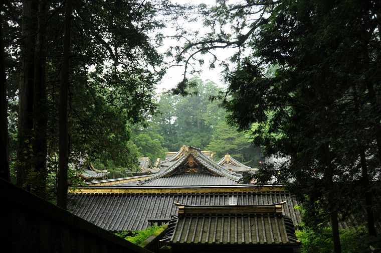 forests, rooftops, Grove, Japanese architecture - desktop wallpaper