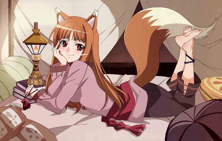 tails, Spice and Wolf, barefoot, animal ears, red eyes, Holo The Wise Wolf, inumimi - desktop wallpaper
