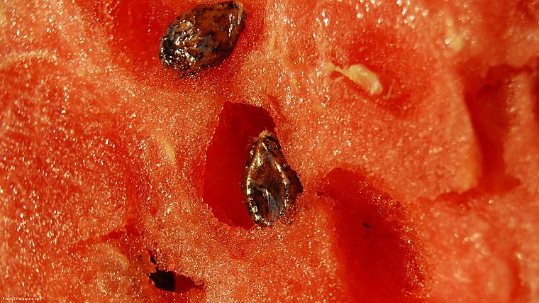 close-up, watermelons, macro, seeds - desktop wallpaper