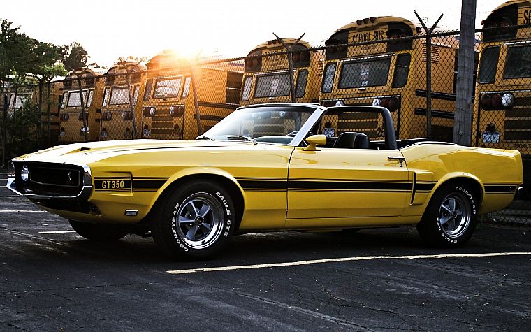 cars, muscle cars, 1969, vehicles, Ford Mustang Shelby GT350, old cars, yellow cars, shelby gt350 - desktop wallpaper