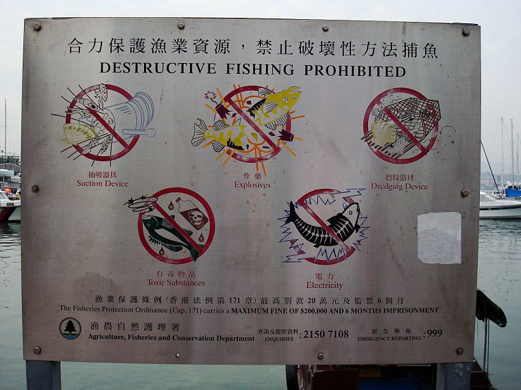 signs, fish, fishing - desktop wallpaper