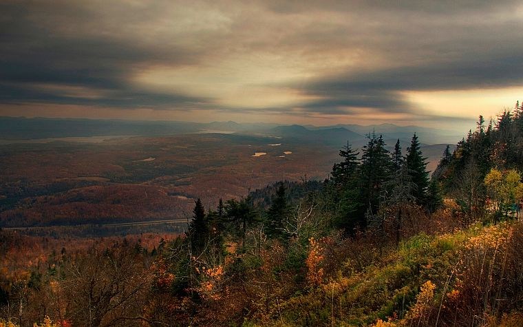 trees, autumn, forests, hills, valleys - desktop wallpaper