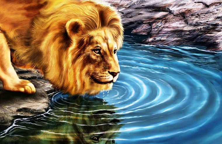 animals, artwork, lions - desktop wallpaper