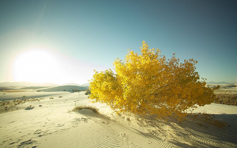 landscapes, nature, sand, deserts, macro - desktop wallpaper
