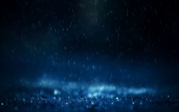 rain, water drops - desktop wallpaper