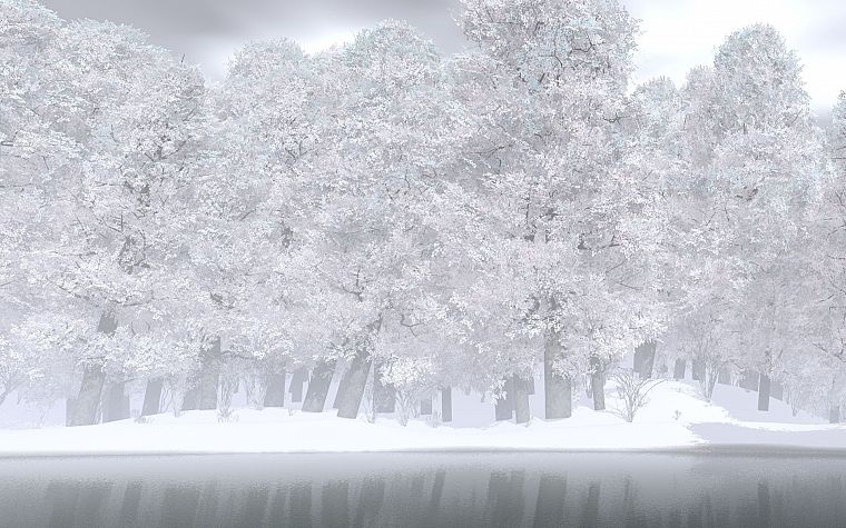 nature, winter, snow, trees, monochrome - desktop wallpaper