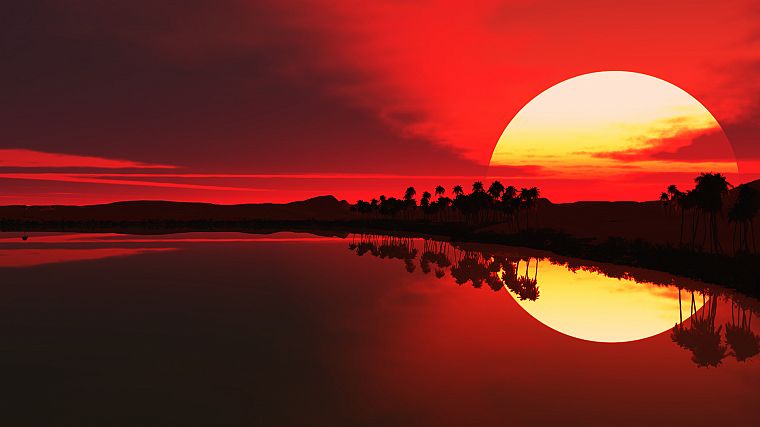 water, sunrise, red, palm trees, lakes, sillhouette - desktop wallpaper