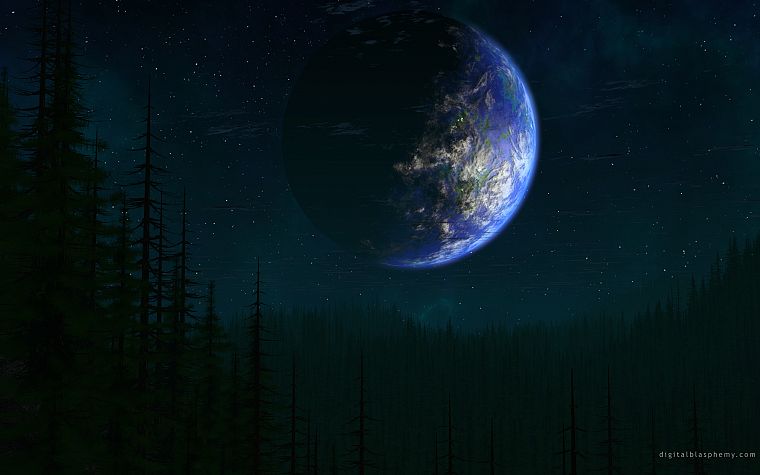 outer space, forests, Earth - desktop wallpaper