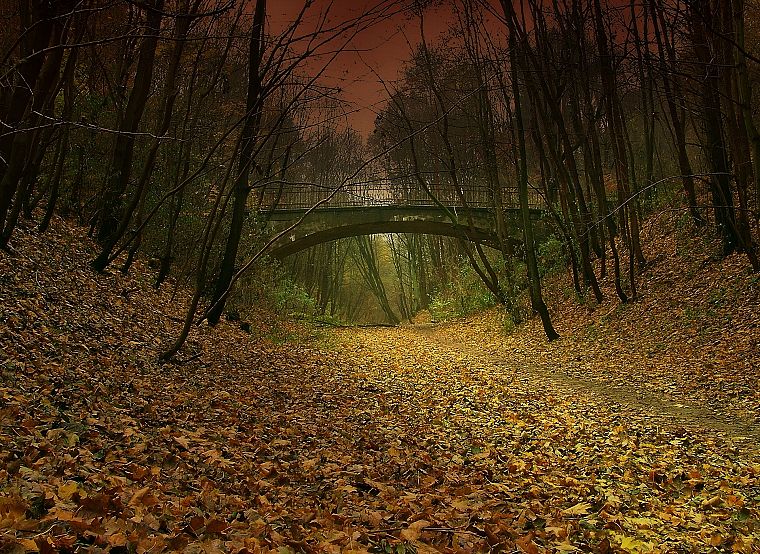 nature, autumn, paths, Falling Down (movie), fallen leaves - desktop wallpaper