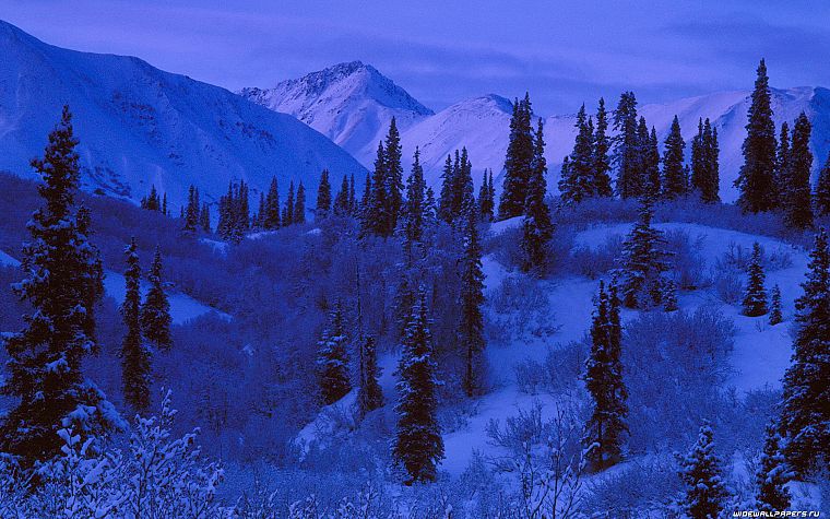 mountains, nature, forests, snow landscapes - desktop wallpaper