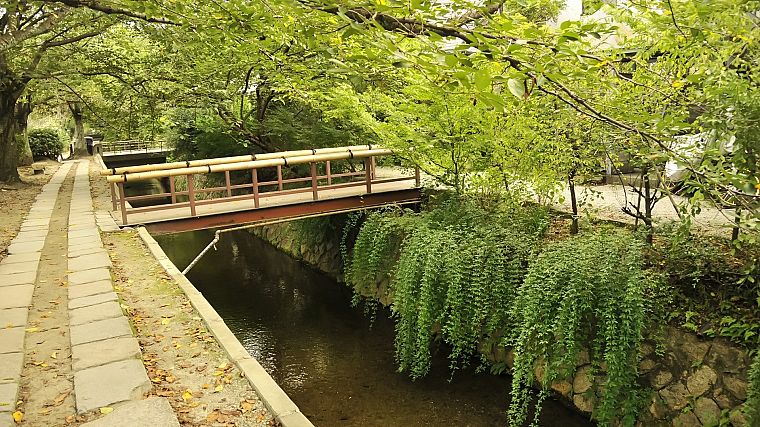 landscapes, nature, trees, bridges, bamboo railing - desktop wallpaper