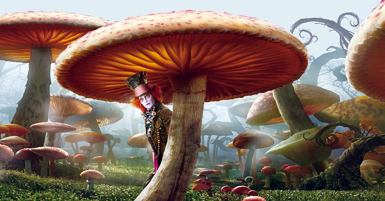 movies, Alice in Wonderland, mushrooms, Mad Hatter, Johnny Depp, actors - desktop wallpaper