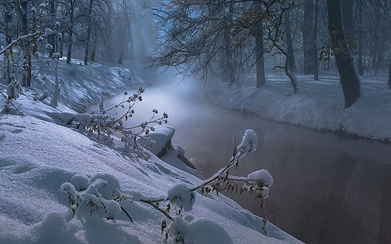 water, landscapes, nature, winter, trees, night, rivers - desktop wallpaper