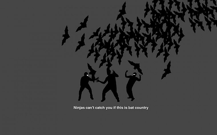 ninjas, ninjas cant catch you if, Country, bats - desktop wallpaper