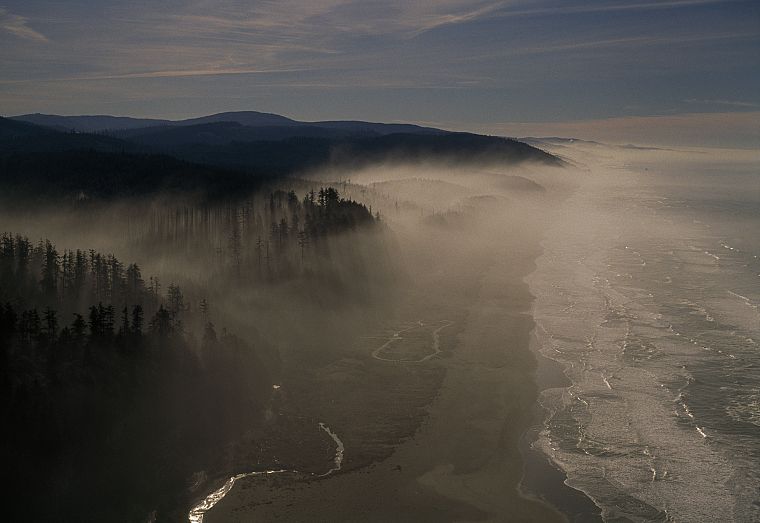 ocean, landscapes, forests, hills, shore, fog, California - desktop wallpaper