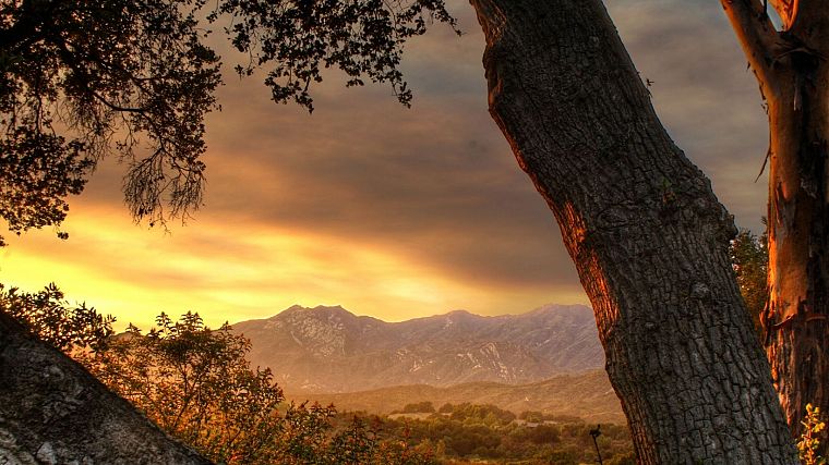 sunset, mountains, landscapes, trees - desktop wallpaper