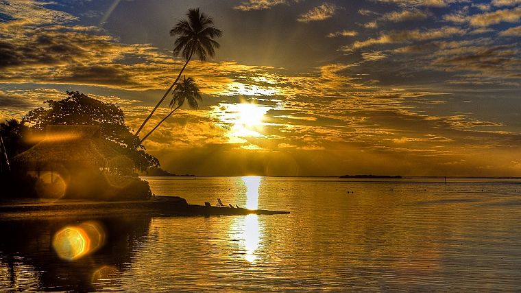 Sun, horizon, palm trees - desktop wallpaper