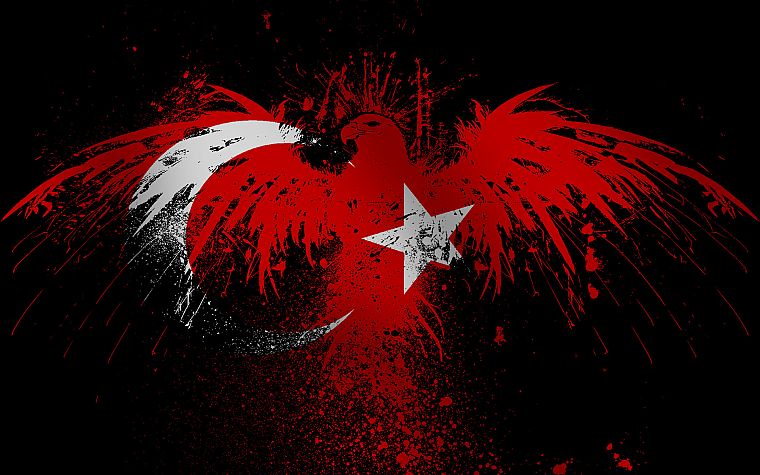 eagles, flags, Turkey - desktop wallpaper