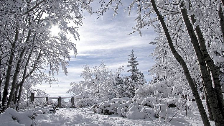 landscapes, nature, winter, snow, trees, skylines, fences - desktop wallpaper
