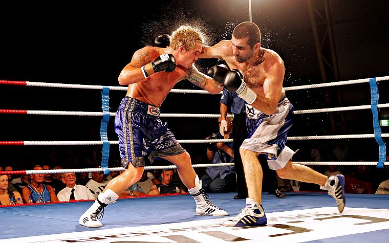 fight, boxing - desktop wallpaper