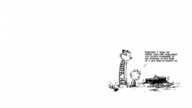 Calvin, Hobbes, Calvin and Hobbes - desktop wallpaper