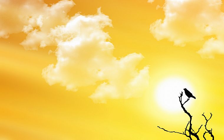 clouds, Sun, birds - desktop wallpaper