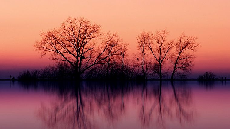 water, sunset, landscapes, nature, trees, skylines, fog, lakes, reflections - desktop wallpaper