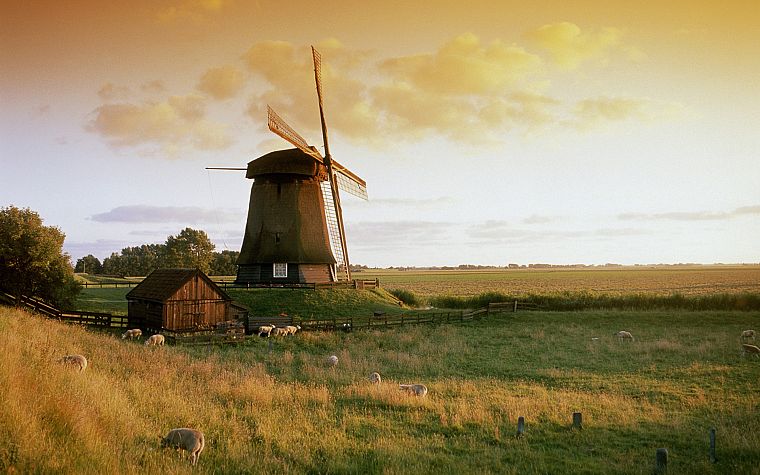 landscapes, fields, windmills - desktop wallpaper