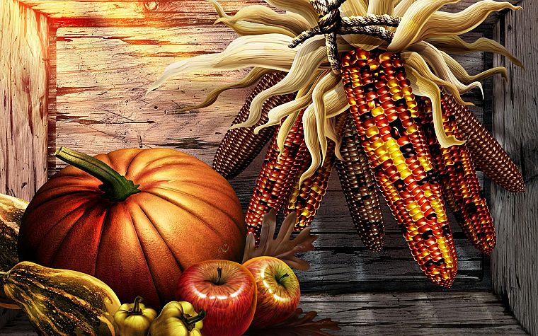 corn, pumpkins - desktop wallpaper