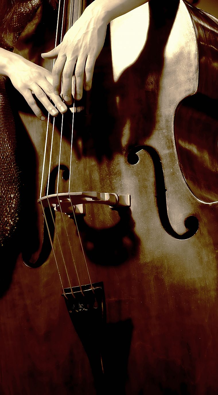 hands, bass, bass violin, double bass - desktop wallpaper